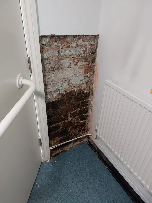 Your Damp Specialists damp survey and treatment work image 81