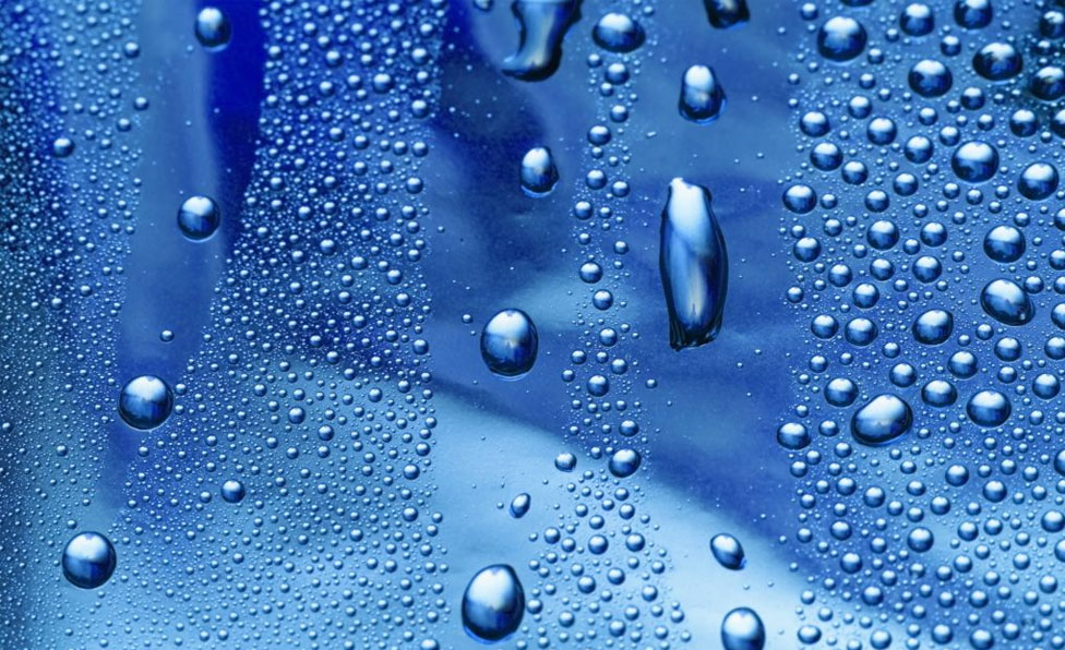 Condensation Treatment Services in Stockton-on-Tees